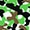 28 - Green/Black Camo