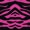 14 - Hot Pink Zebra