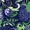 13 - Paisley 2