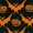 F50 - Halloween Pumpkins/Bats